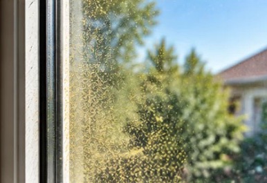 Window glass covered in a hazy film of pollen and dust